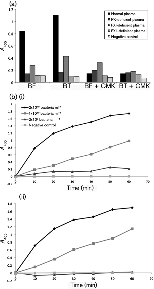 Fig. 3. 