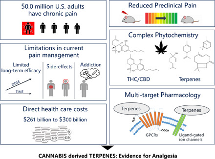 graphic file with name pharmrev.120.000046absf1.jpg