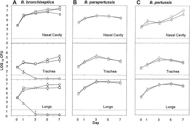 FIG. 2.