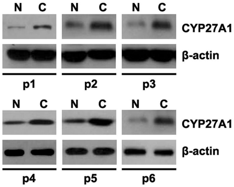 Figure 6.