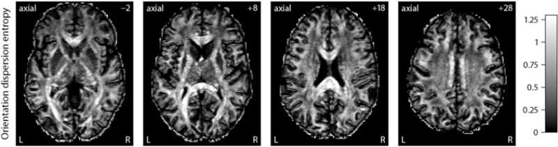 Fig. 10