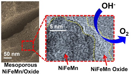 graphic file with name nihms-744446-f0009.jpg