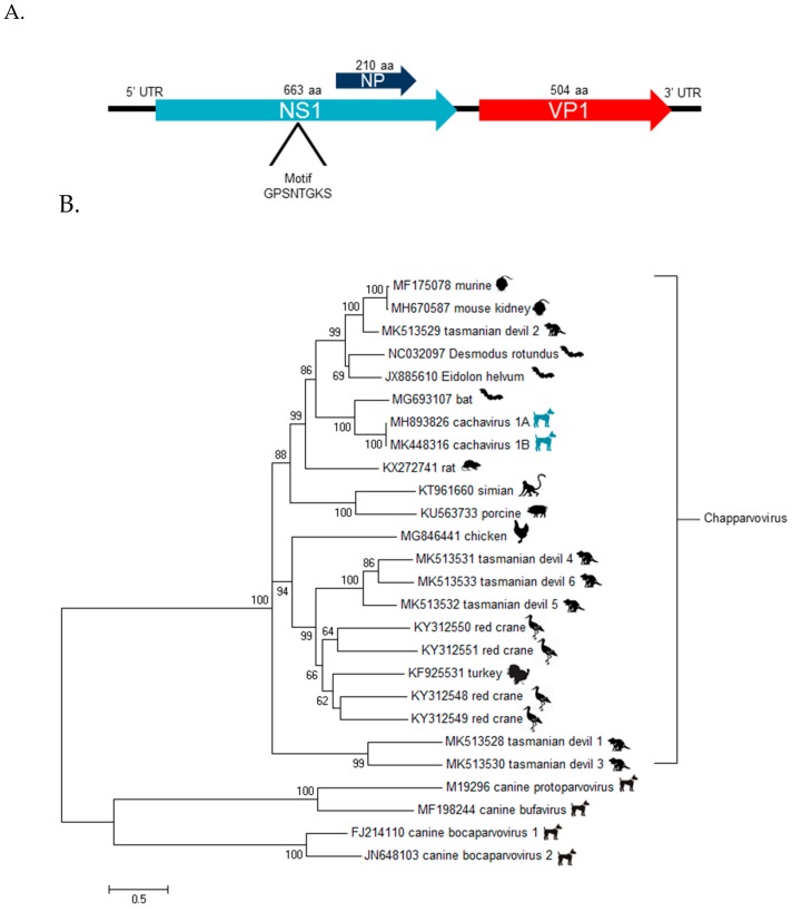 Figure 1