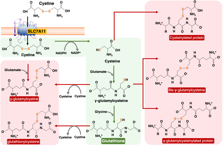 Figure 1