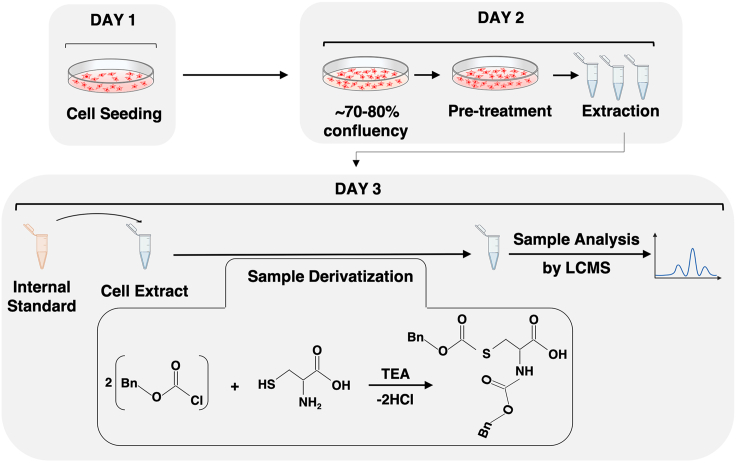 Figure 2