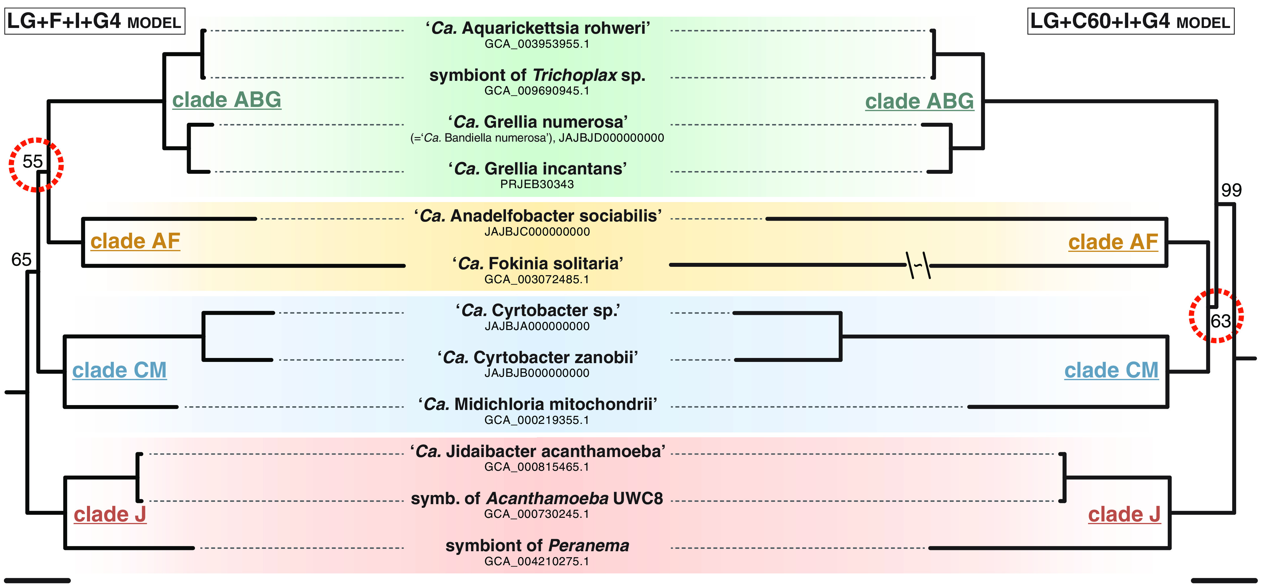 FIG 2