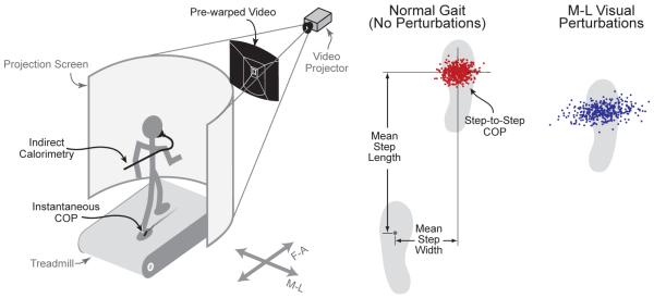 Figure. 1