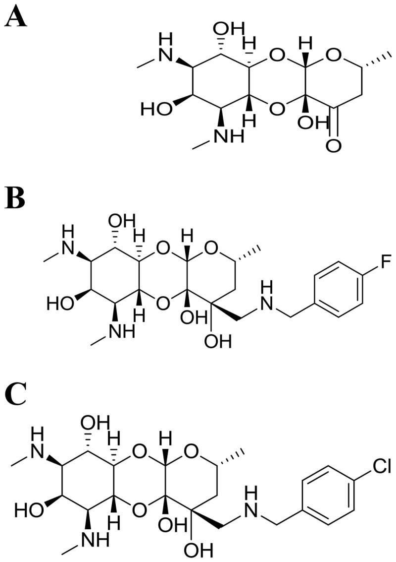 FIG 1