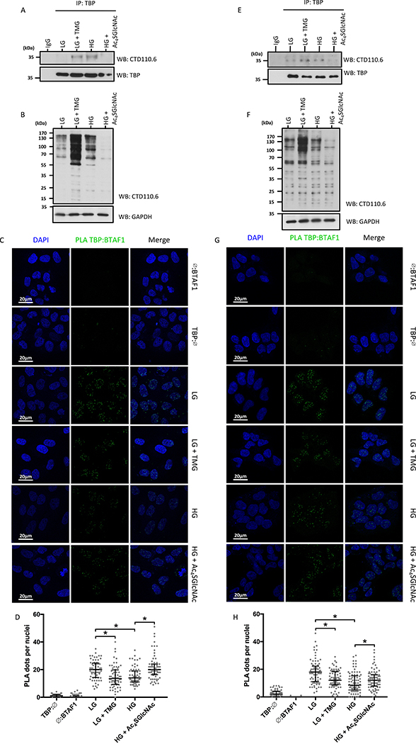 Figure 4: