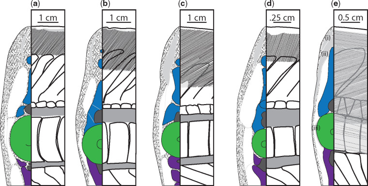 Fig. 10