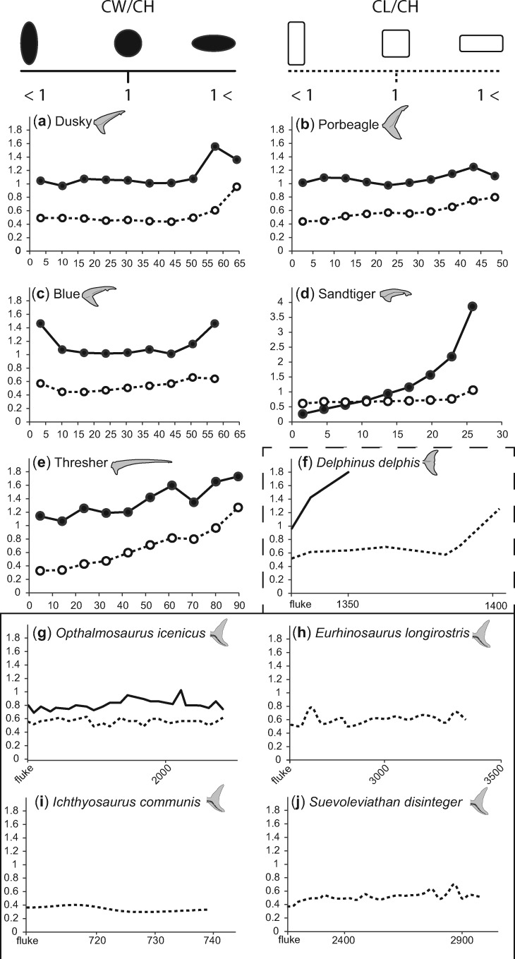 Fig. 11