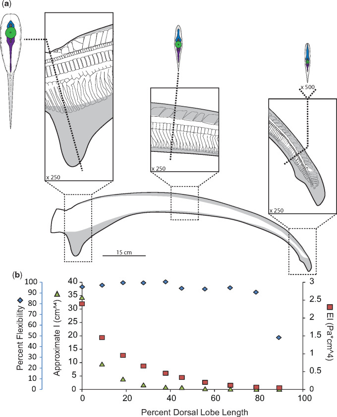 Fig. 8