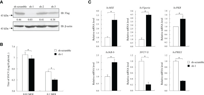 Figure 6