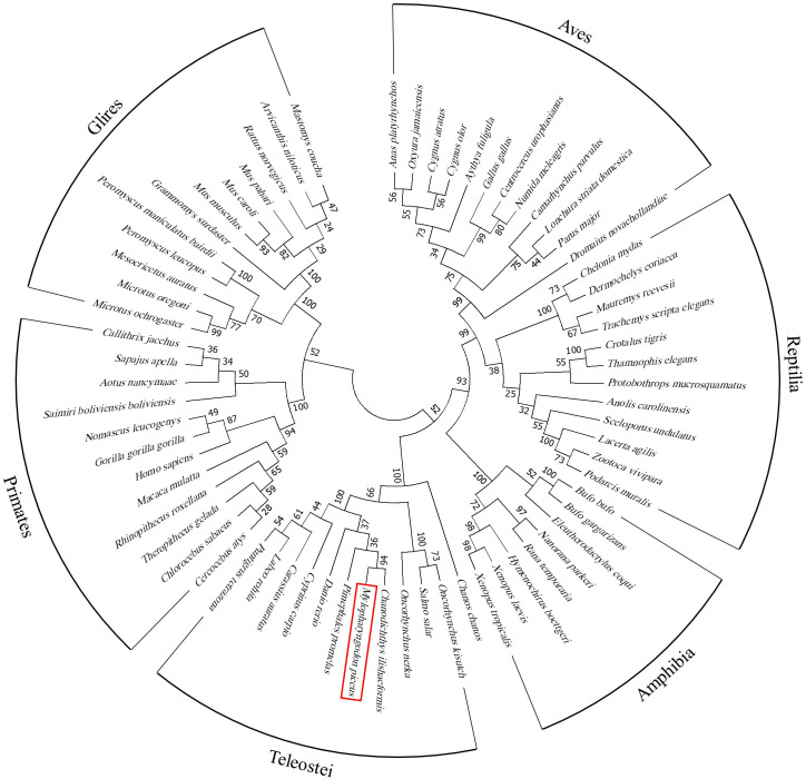 Figure 2