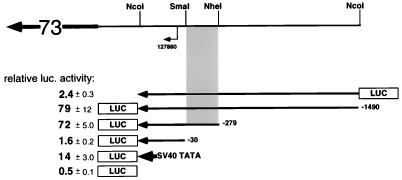 FIG. 7