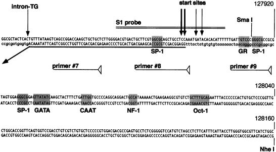 FIG. 6