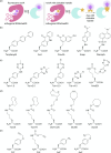 Figure 20