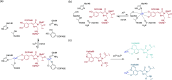 Figure 25