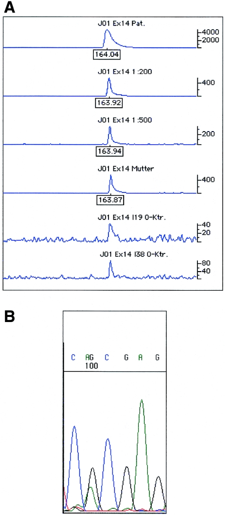 Figure  2