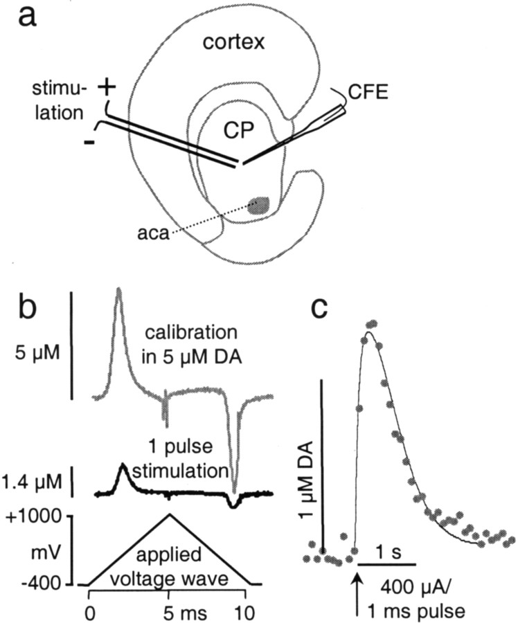 Fig. 1.