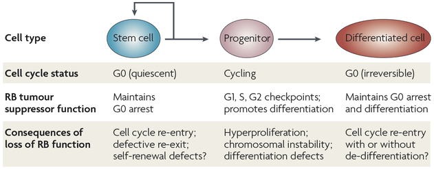 Figure 2 |