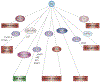 Figure 3 |