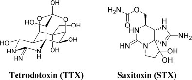 Figure 19.9