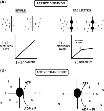 Figure 19.5