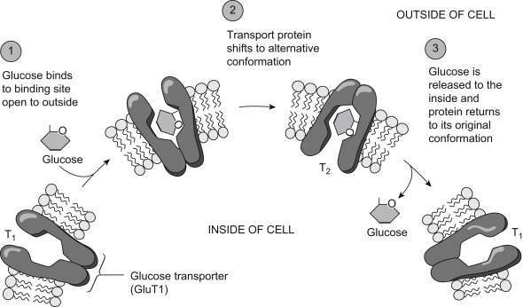 Figure 19.6