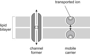 Figure 19.18