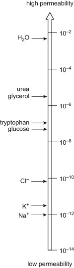 Figure 19.1