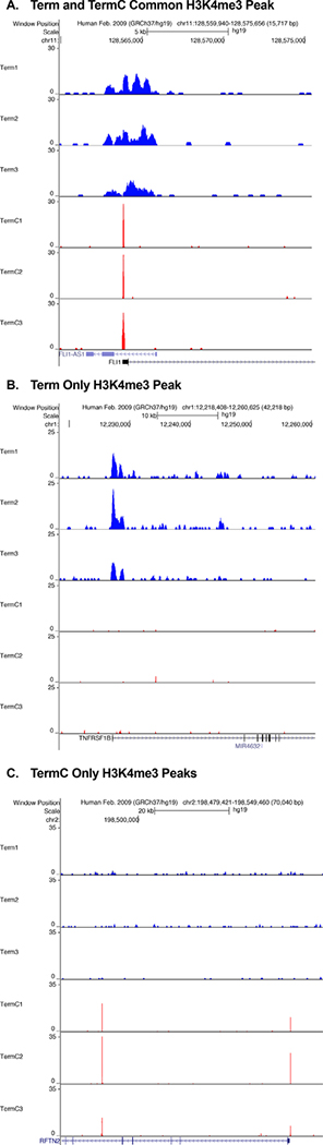 Figure 4: