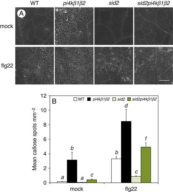 Fig. 4.