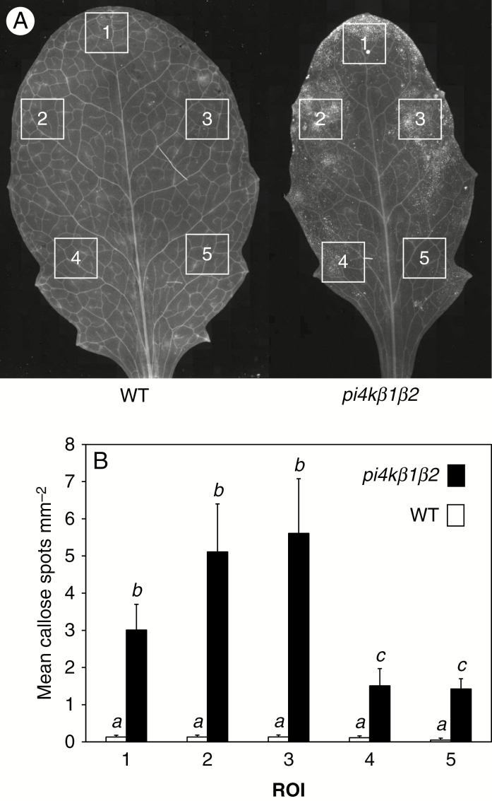 Fig. 3.