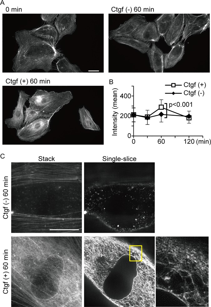 Fig 8