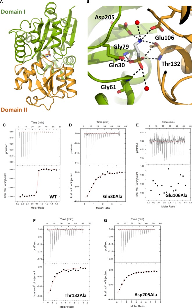 Figure 1.