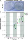 FIG 2