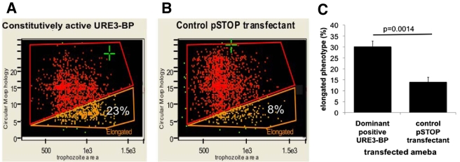 FIG 2 