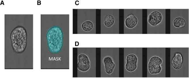 FIG 1 