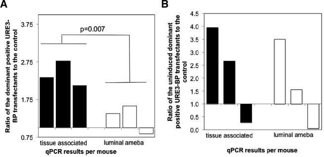 FIG 4 