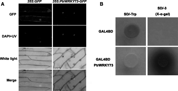 Fig. 4