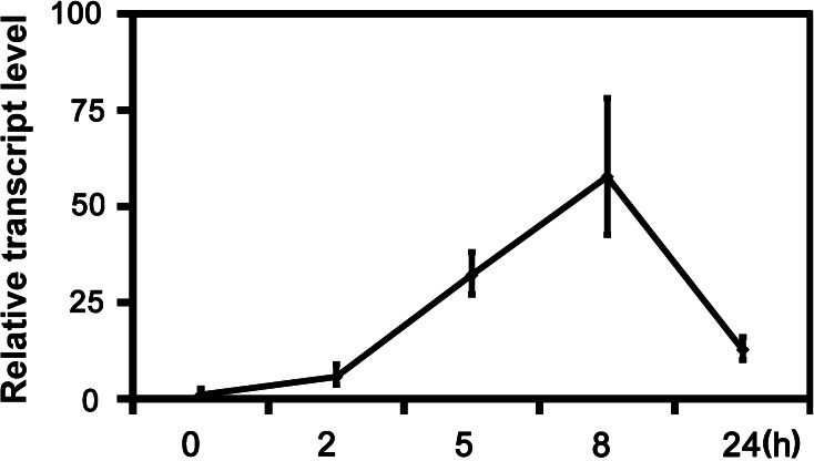 Fig. 1