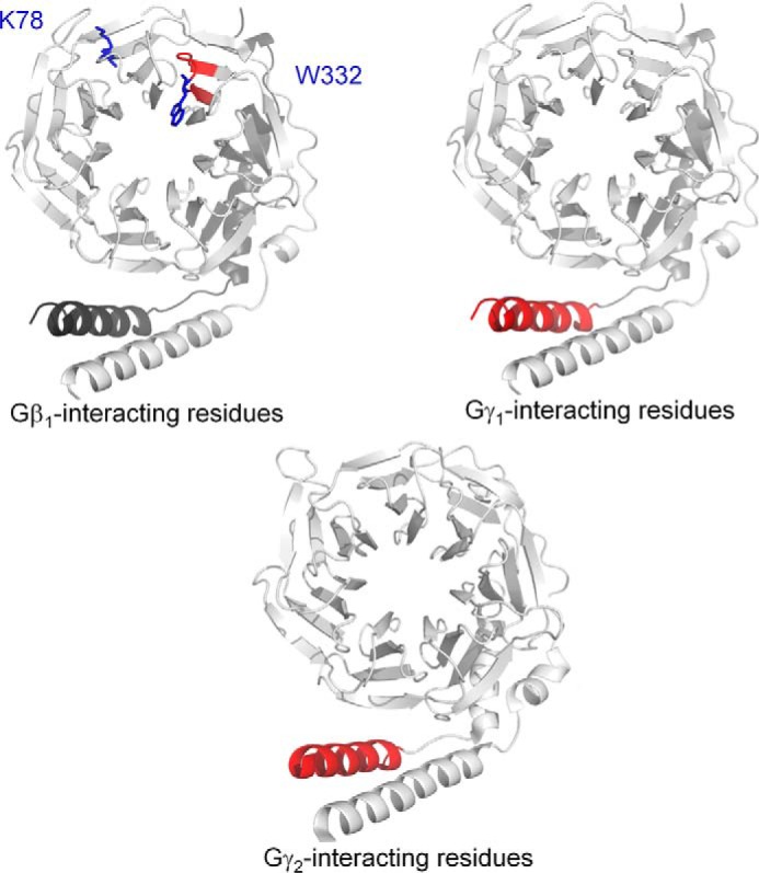 Figure 5.