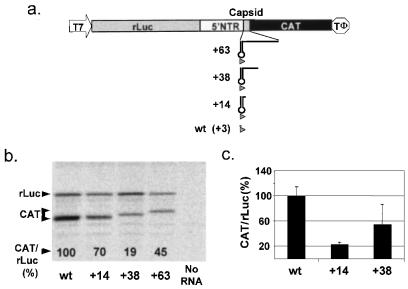 FIG. 6