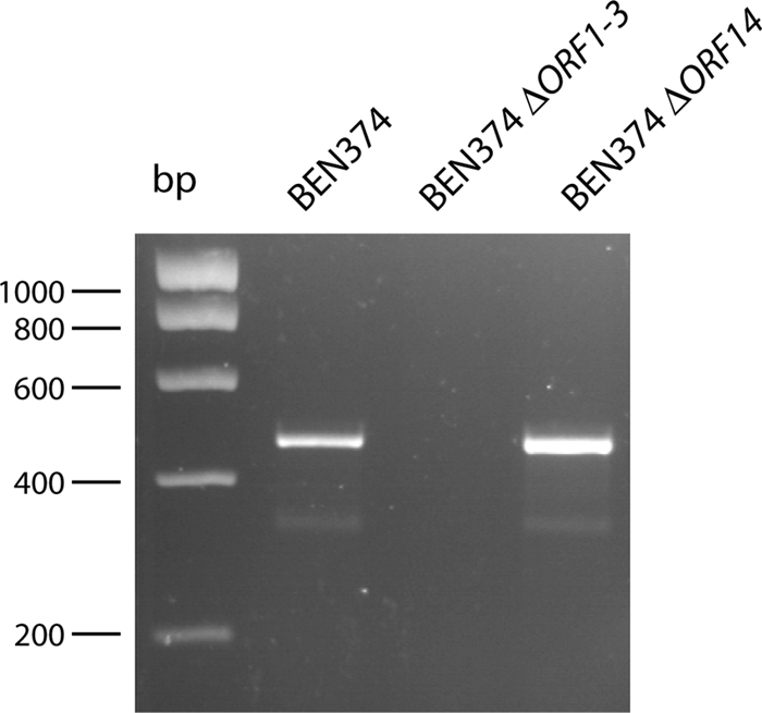 FIG. 4.