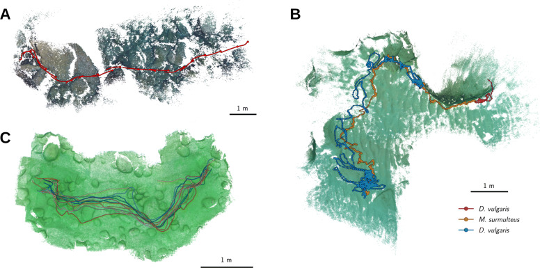 Fig. 3