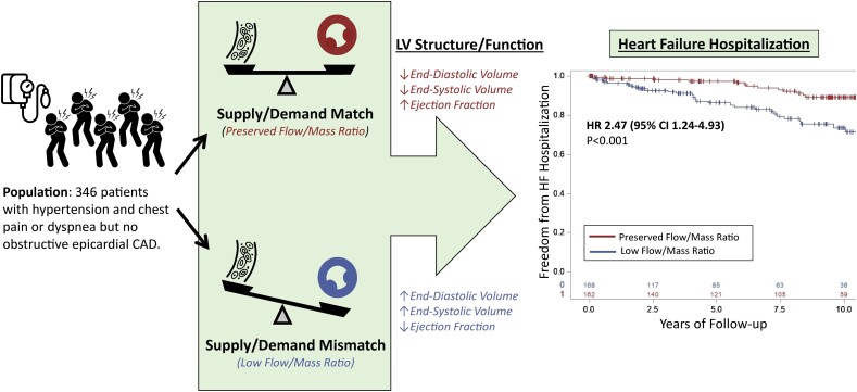 Graphical Abstract