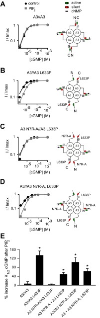 Fig. 8.