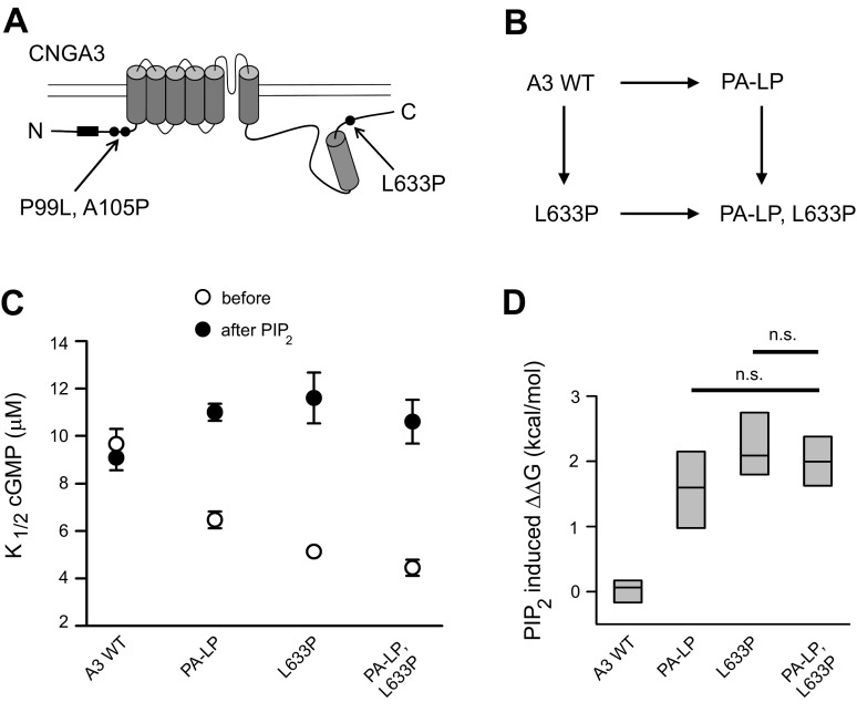 Fig. 6.