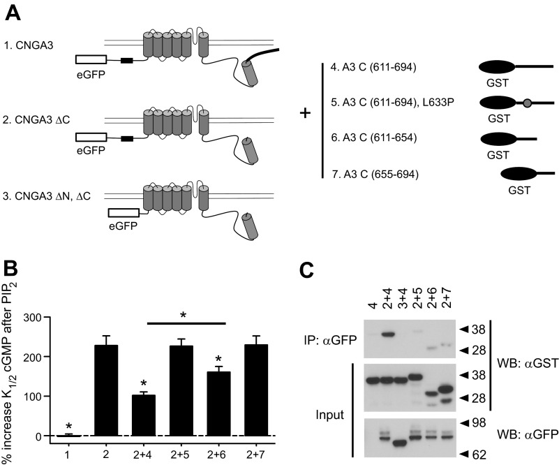 Fig. 7.